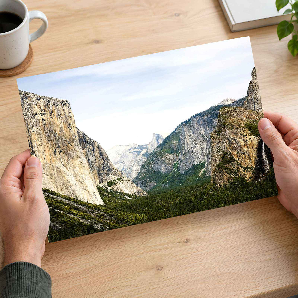 El Capitan in Yosemite National Park Photo Print Wall Decor