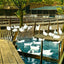 Duck Farm Pond, Allentown, PA in 1907 art print