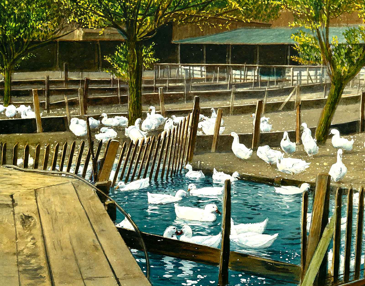 Duck Farm Pond, Allentown, PA in 1907 art print