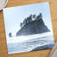 Treed Rock in Ocean by Joshua Earle Photo Print Wall Decor