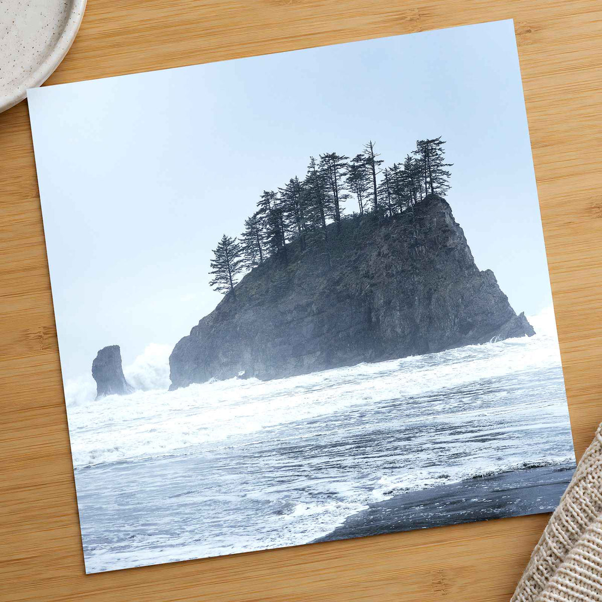 Treed Rock in Ocean by Joshua Earle Photo Print Wall Decor