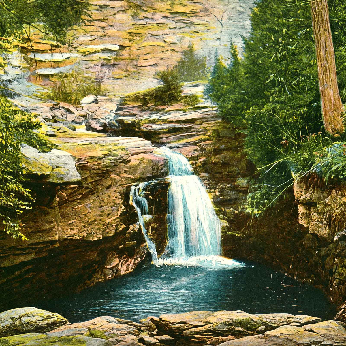 Falls at Nay Aug Park, Scranton, PA in 1907 vintage print