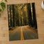Hoh Rainforest Road, Olympic National Park by Hans Photo Print Wall Decor
