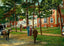 Laurel in the Pines, Lakewood, NJ in 1905 art print