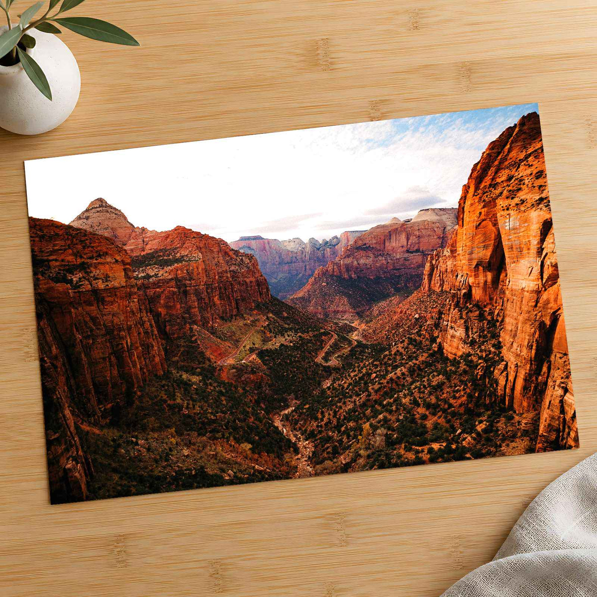 Zion National Park in Utah by Colin + Meg Photo Print Wall Decor