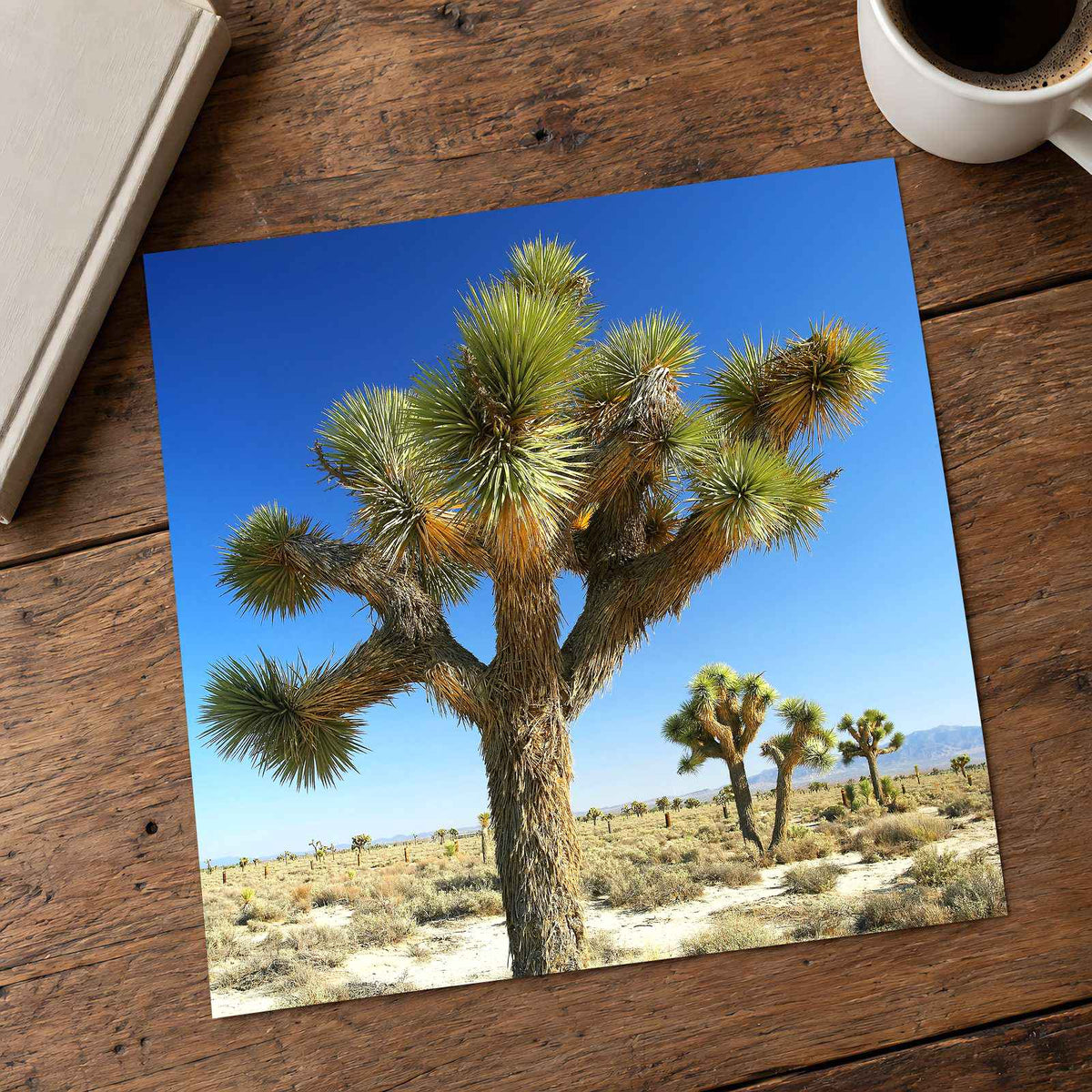 Joshua National Park Photo Print Wall Decor