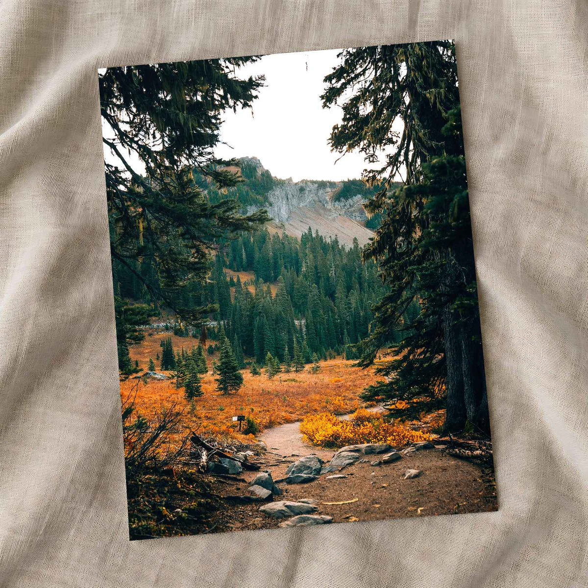 Mount Rainier National Park in Washington by Josh Hild Photo Print Wall Decor