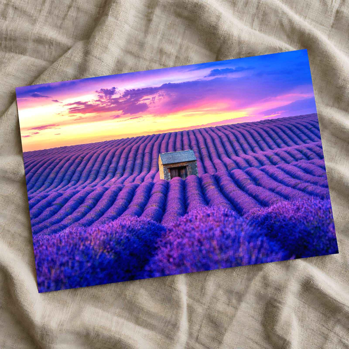 Beautiful Lavender Field at Sunset Photo Print Wall Decor