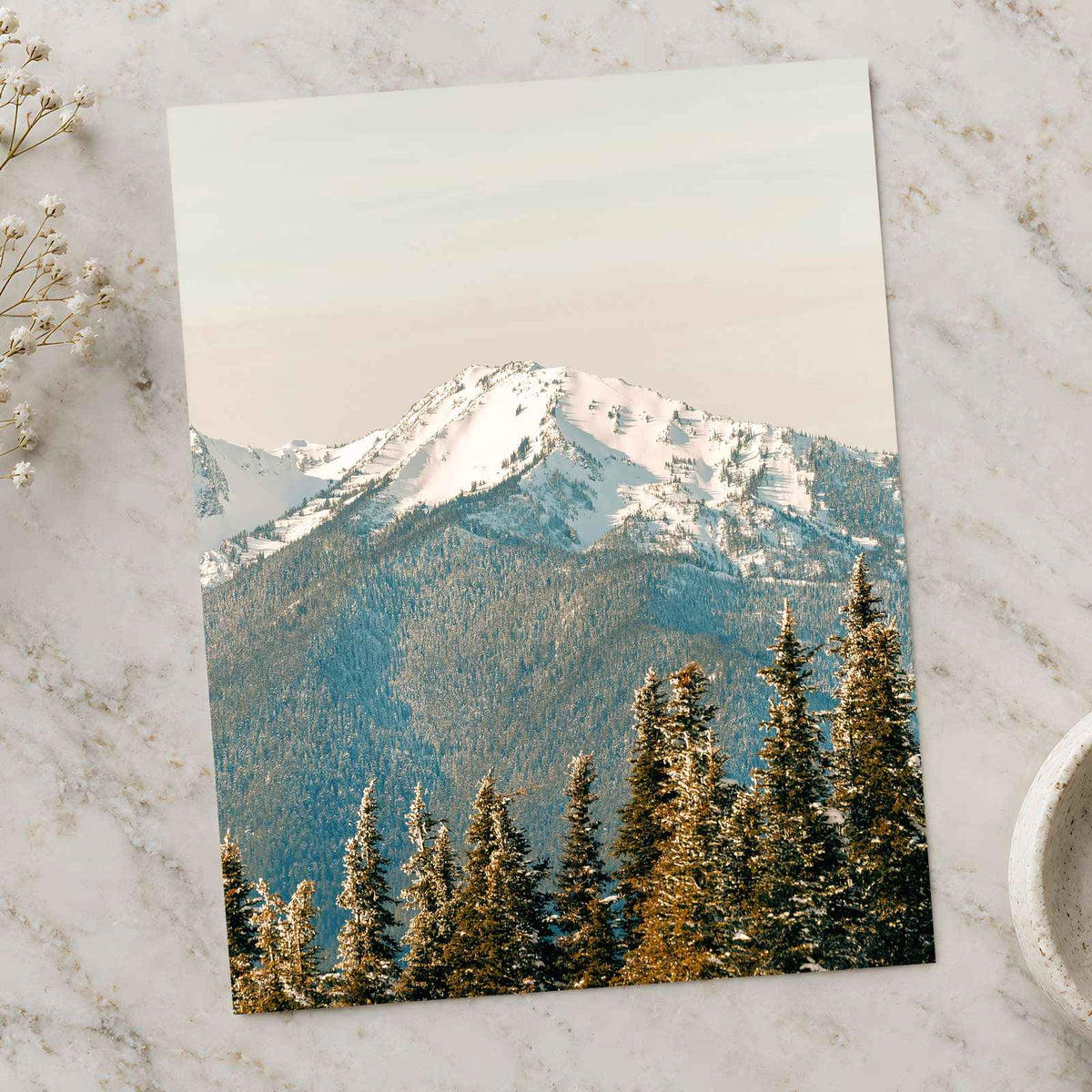 Snowy Mountain Peak Olympic National Park by Hans Photo Print Wall Decor