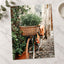 Flower Basket on Bicycle in Rome by Anita Austvika Photo Print Wall Decor