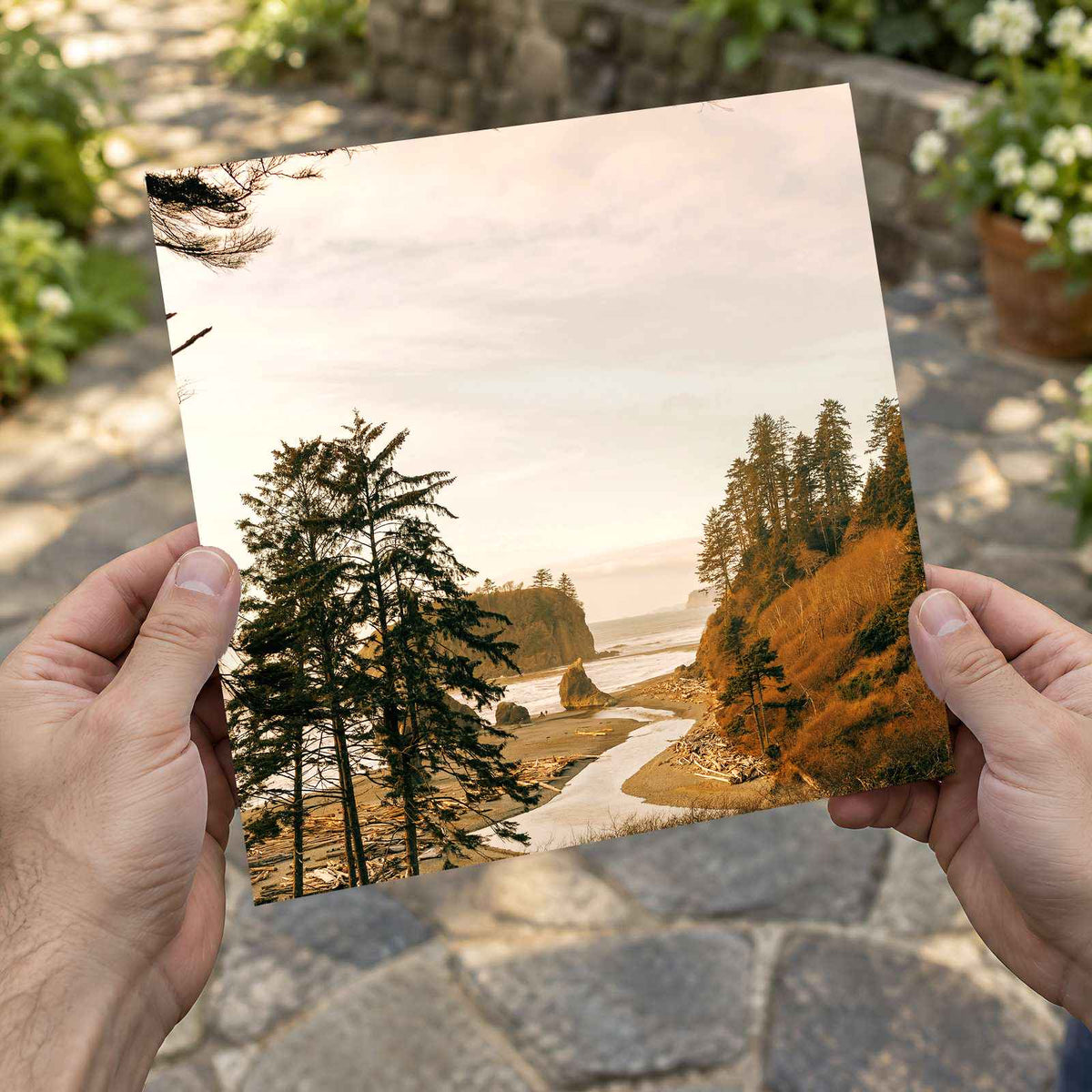 Ruby Beach in Forks, Washington by Hans Photo Print Wall Decor