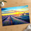 French Lavender Field at Sunset Photo Print Wall Decor