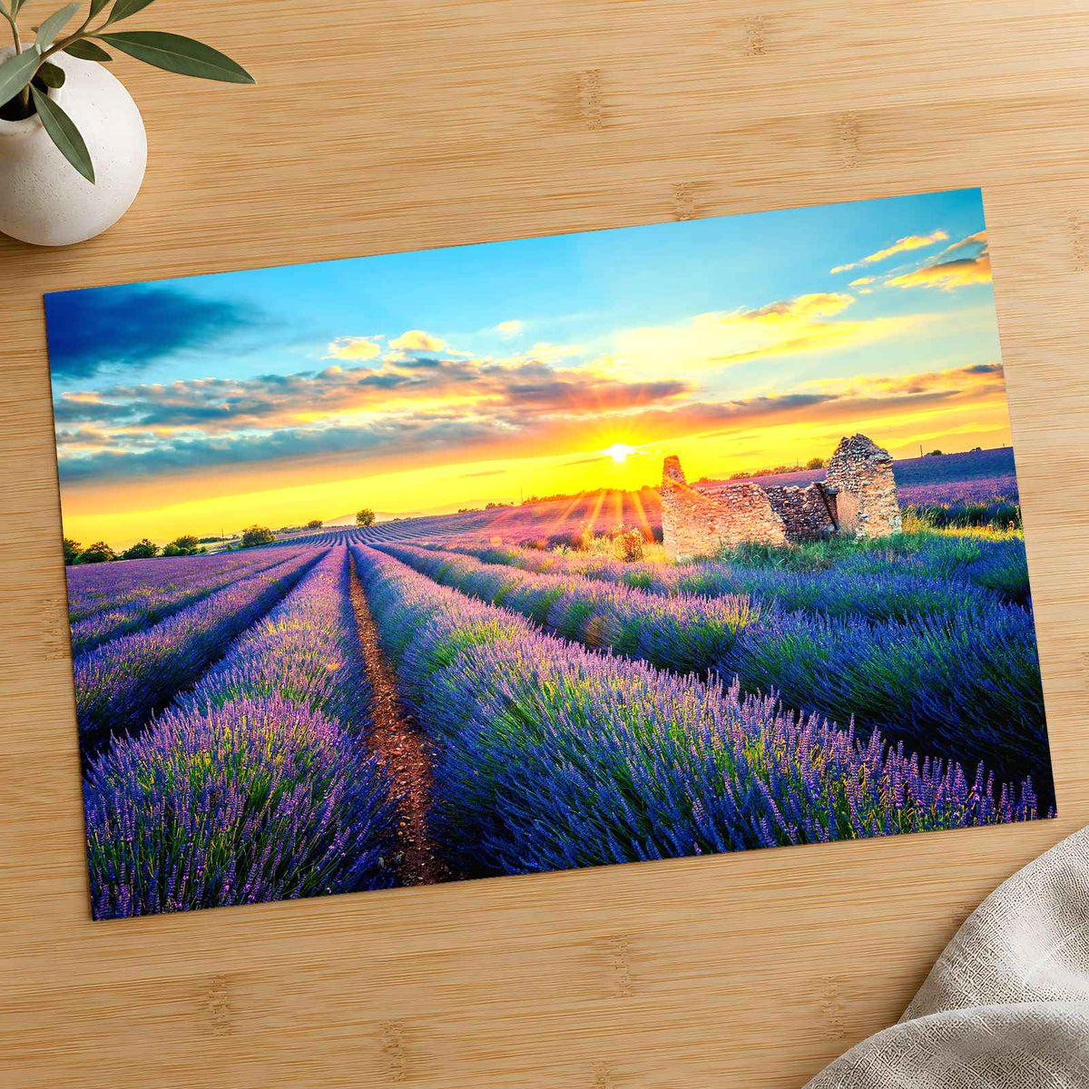 French Lavender Field at Sunset Photo Print Wall Decor