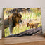 Male Lion and Cub in Africa Photo Print Wall Decor
