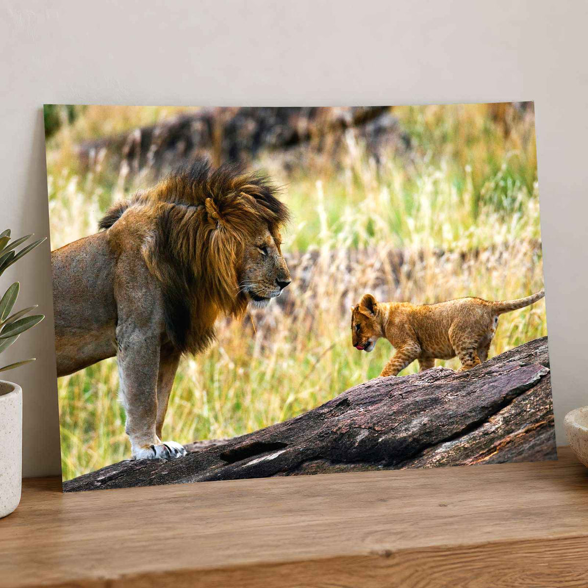 Male Lion and Cub in Africa Photo Print Wall Decor