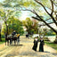 Willow Drive, Lakewood, NJ in 1905 art print