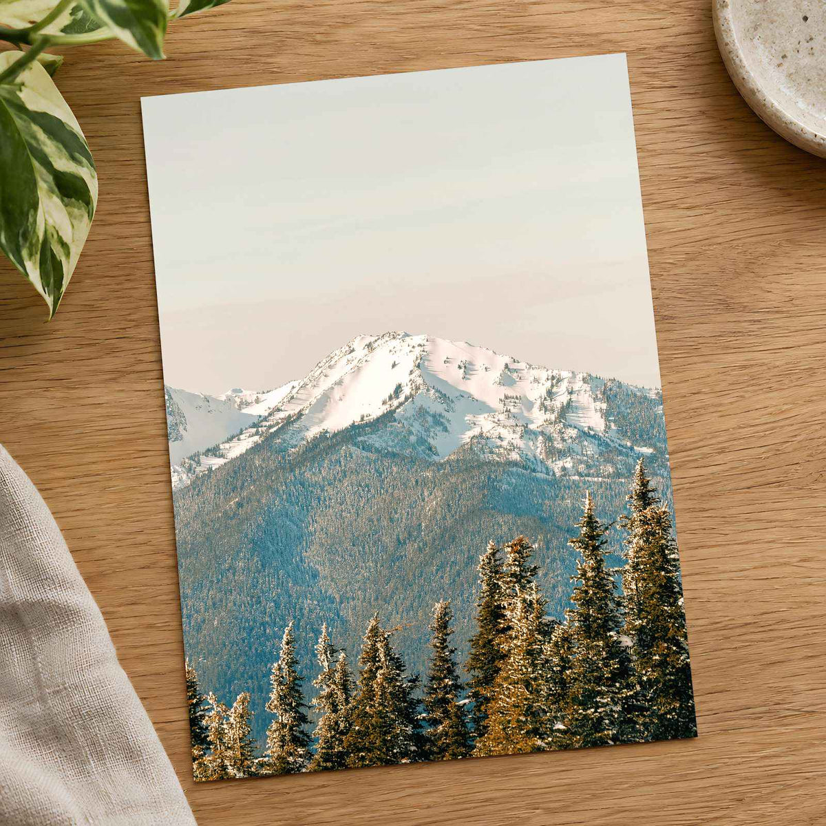 Snowy Mountain Peak Olympic National Park by Hans Photo Print Wall Decor