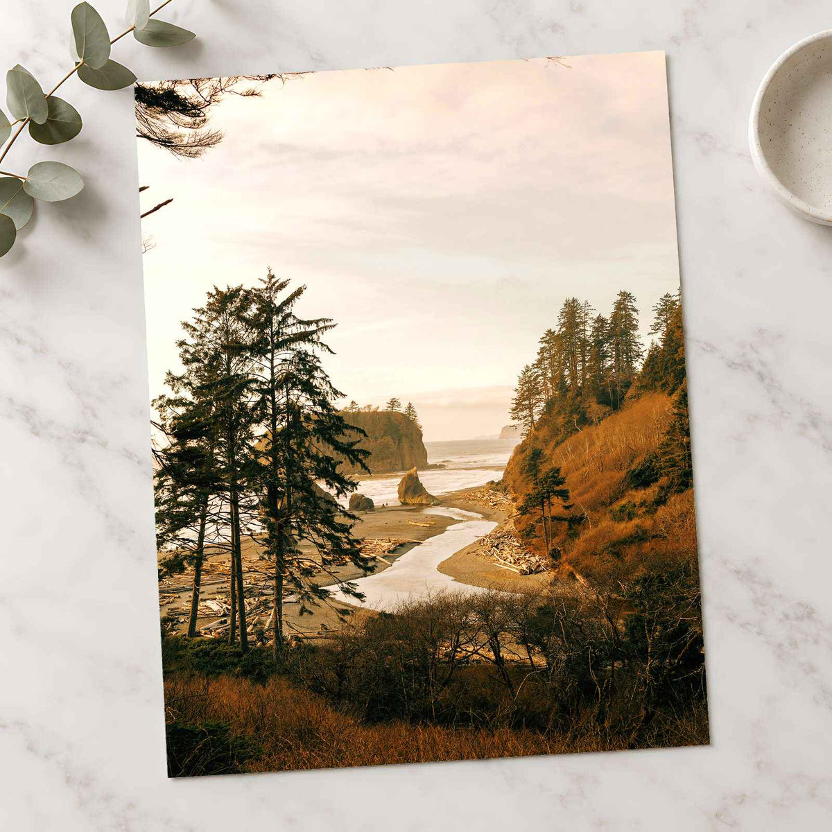 Ruby Beach in Forks, Washington by Hans Photo Print Wall Decor