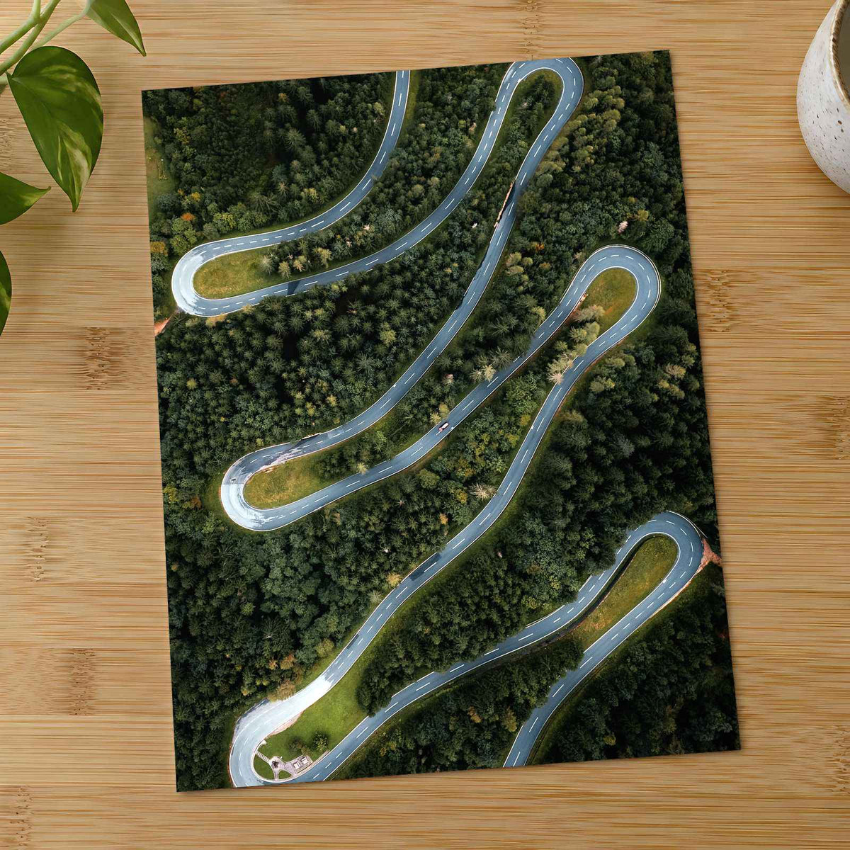 Curving Road from Above by Dejan Zakic Photo Print Wall Decor
