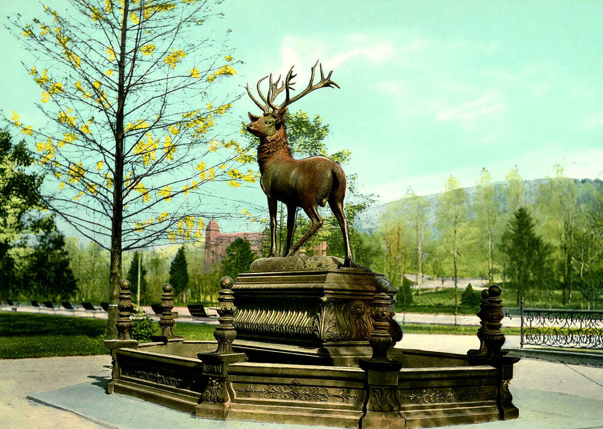 Fountain City Reservoir, Reading PA in 1907 vintage print