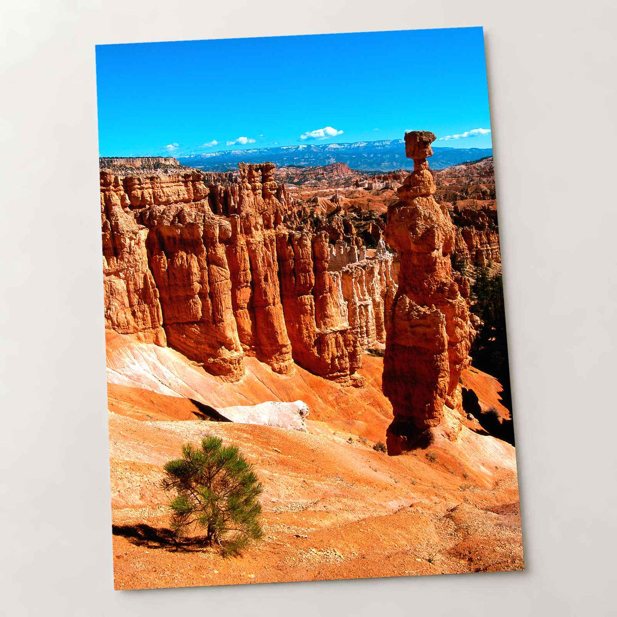 Bryce Canyon in Utah Photo Print Wall Decor
