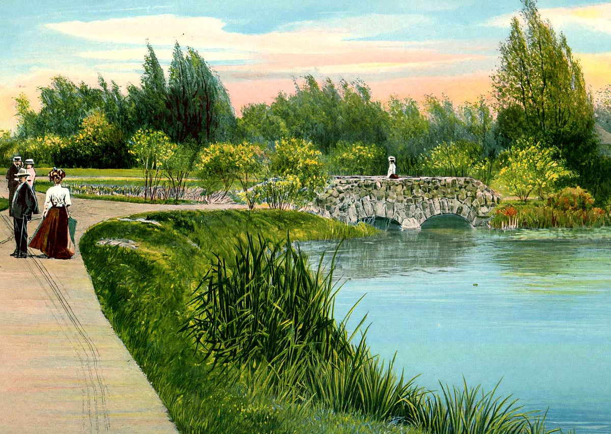 Lily Pond, Washington Park, Milwaukee, WI vintage print
