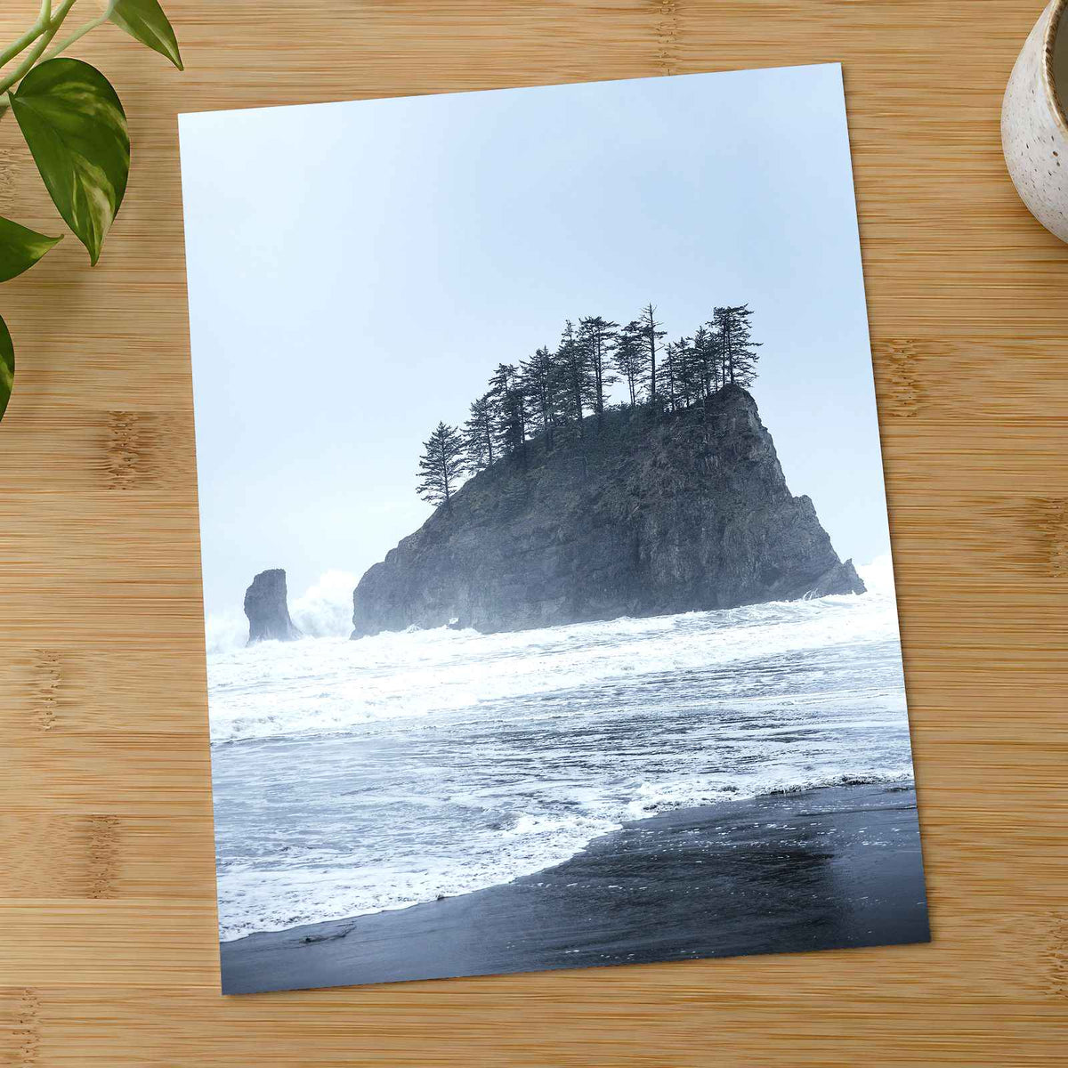 Treed Rock in Ocean by Joshua Earle Photo Print Wall Decor